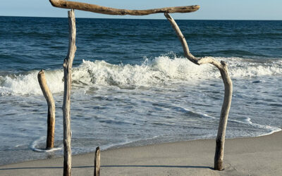 Permanence and the Creative Process