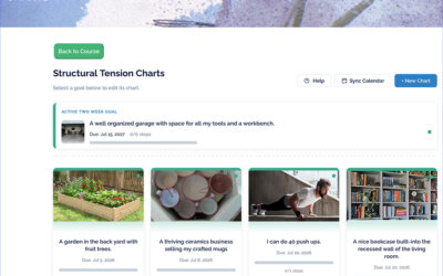 New Structural Tension Charting Software